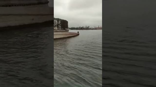 Экскурсии по СПб смотреть онлайн