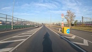 Утренняя тупизна