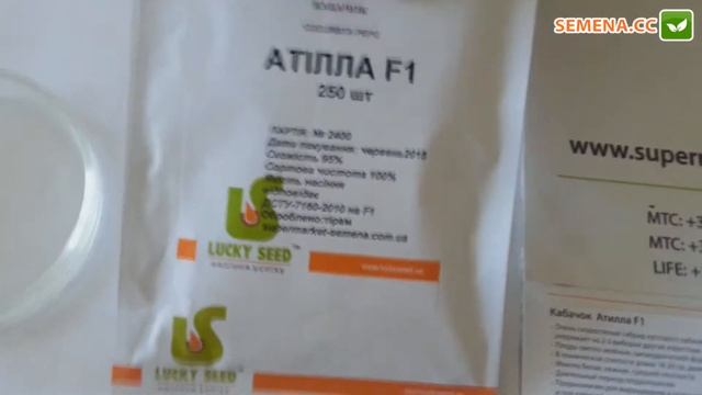 Антифейк кабачок Атилла Lucky Seed смотреть онлайн