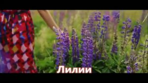 Александр Айвазов - Лилии (NEW VERSION 2017)