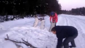 Бесплатные дрова/Валежник/Чем растопить печь, если дрова сырые/Семья в деревне/Городская деревня