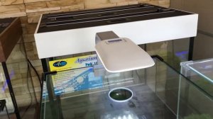 Обзор аквариумов Кубы от Биодизайн