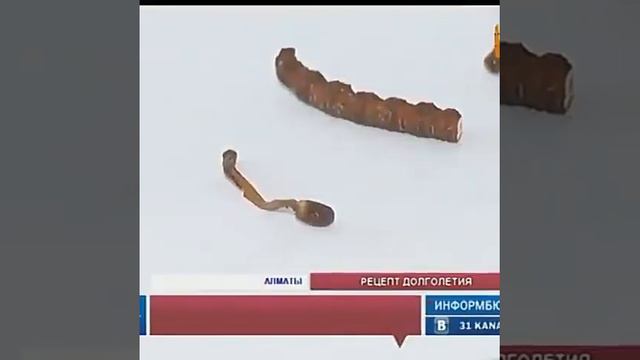 Гриб Кардицепс содержится в Елев8 .Заказывайте продукт и не сомневайтесь будьте здоровы