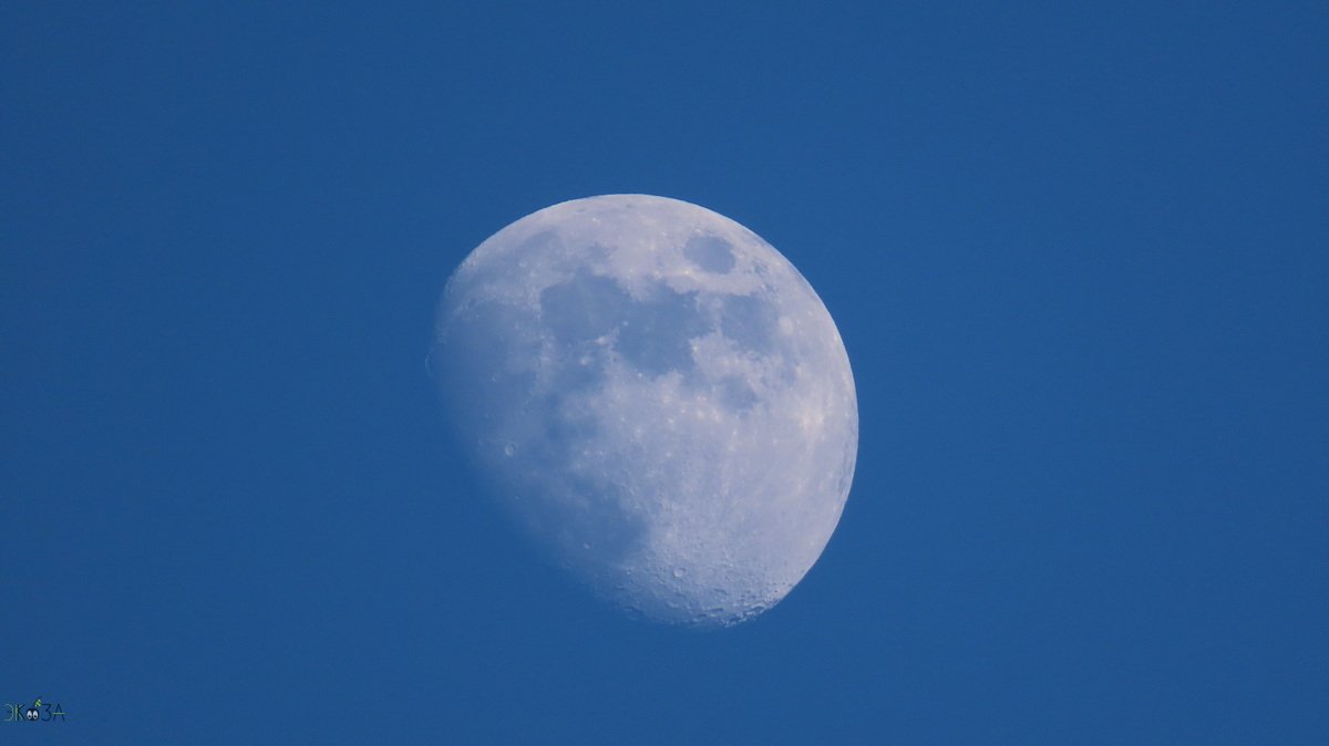 Синева неба и синицы. Луна в серебряном наряде. Ростовская область, северо-запад