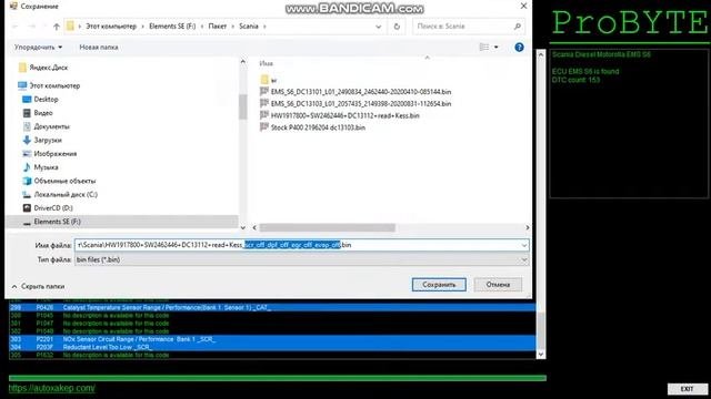 Probyte