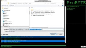 Probyte