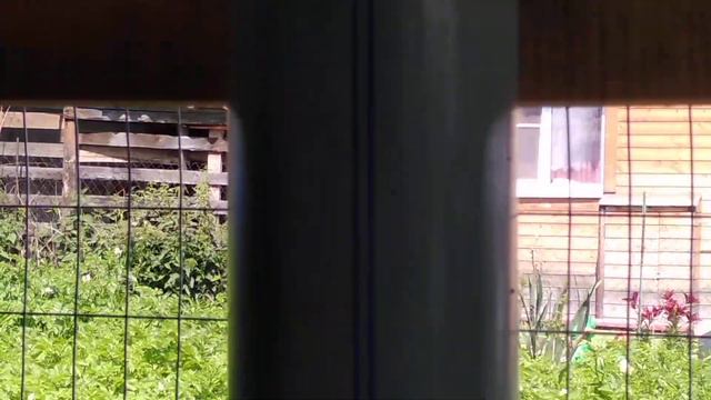 Ниппельные поилки для домашней птицы. Недорого и практично