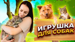 ИГРУШКА СВОИМИ РУКАМИ для домашних животных