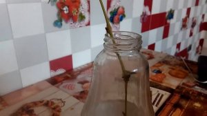 Размножение винограда зелёными черенками. Эксперимент.