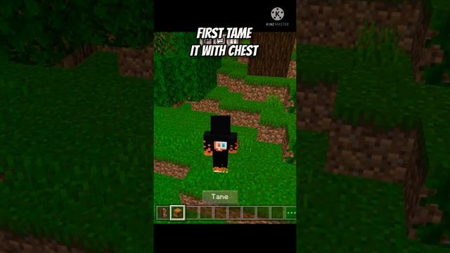 Backpack Mod in Minecraft PE | Backpack Mod In Minecraft PE 2022 смотреть онлайн