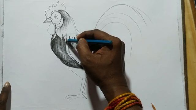 how to draw a cock easy pencil sketch step by step,how to draw hen,learn to easy draw a hen,bird dr смотреть онлайн
