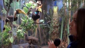 Разоблачение обмана теории эволюции Дарвина. Государственный Дарвиновский музей.