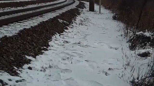 "Медляк с приветом".Э5К-002 "Ермак" с вагоном-рельсосмазывателем и приветливой бригадой. смотреть онлайн