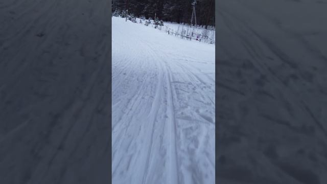 Спуск с горки на беговых лыжах на лыжной базе "Метелица" в городе Бердск снято на DJI Osmo Pocket 1