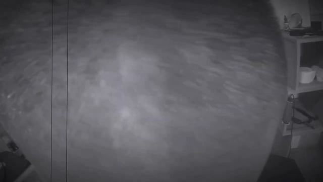 barbershop barber brbrlion cesar fade смотреть онлайн