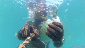 Подводная охота  на лобана  c тройника   ружья ГУНЧ Сочи   2018mp4