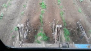 Обработка картошки ежами