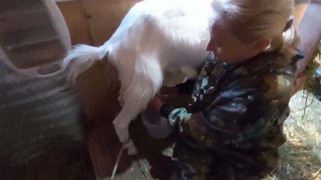 26 мая 2022. Хроника нашего двора. смотреть онлайн