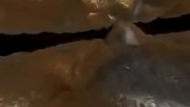 Вакуумные выключатели. Принцип гашения дуги в вакууме