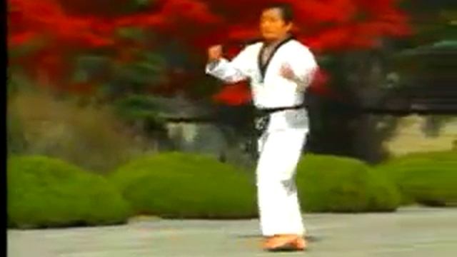 06 - Taegeuk Yuk Jang