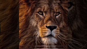 Песня дым дым мой круговорот