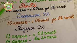 Когда посеять семена капусты и посадить рассаду капусты в апреле 2020 года? В лучшие дни!