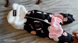 Зимняя одежда для собак. Теплый комбинезон.