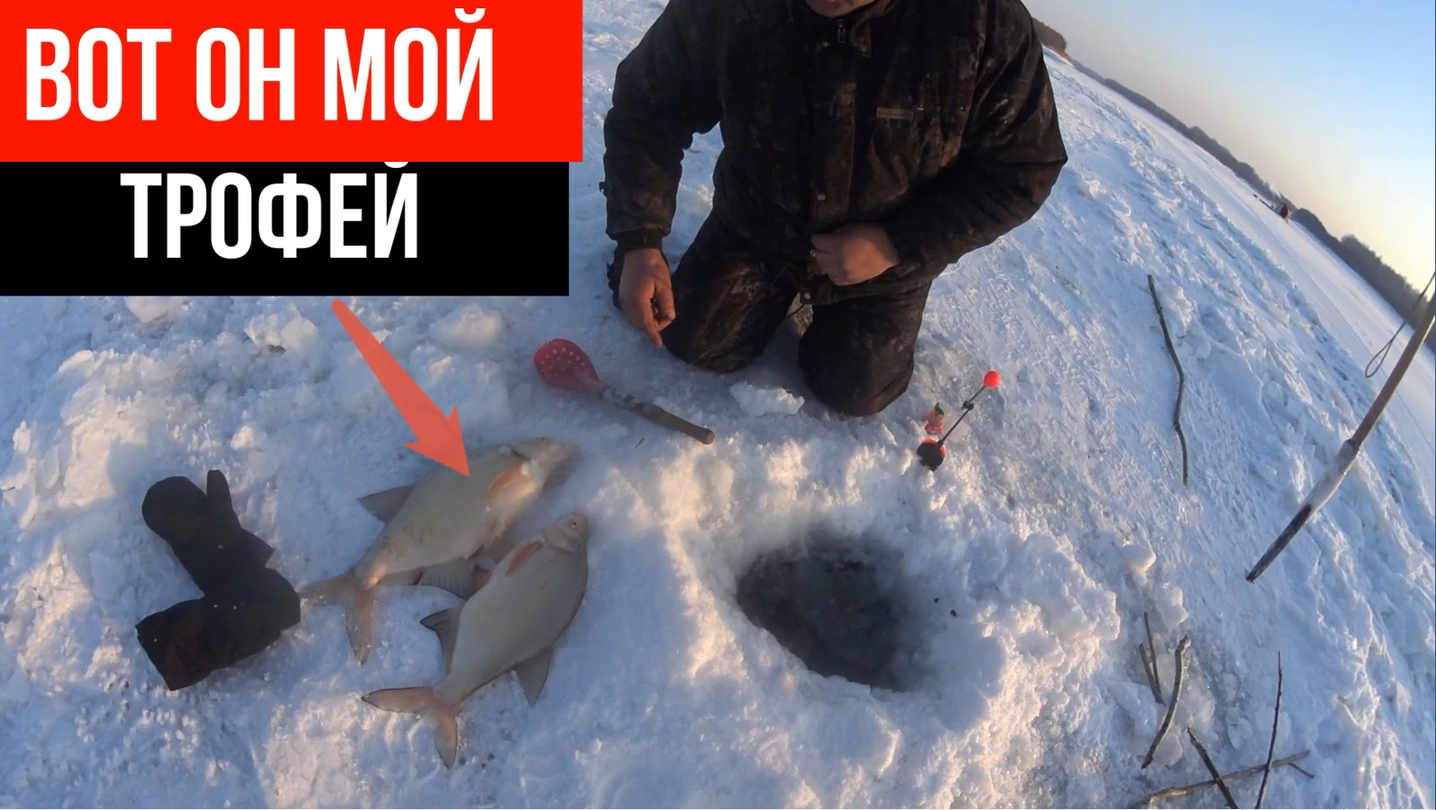 ТРОФЕЙНАЯ РЫБАЛКА.РЫБАЛКА НА КОМБАЙНЫ.ЛЕЩ.ЯЗЬ.