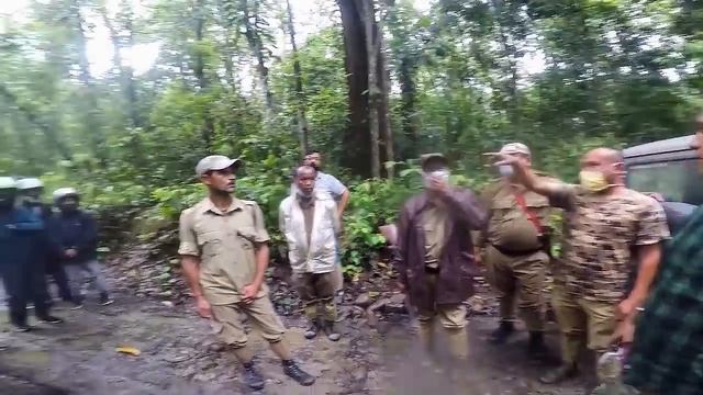 FOREST GUARDS STOPPED US INSIDE DIHING PATKAI.. ?? смотреть онлайн