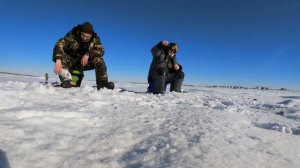 Мотобуксировщик БТС 500 Хит с двигателем Loncin 15 л.с.: первый выезд