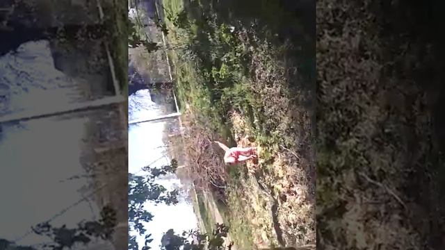 Туман 3 смотрите очень классно смотреть онлайн