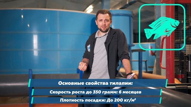 Как ПРАВИЛЬНО выбрать РЫБУ ДЛЯ ВЫРАЩИВАНИЯ в УЗВ? Часть 2 | Как начать БИЗНЕС