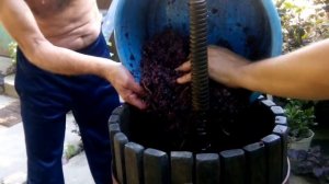 Процесс изготовления сухого вина старинным методом на Закарпатье.