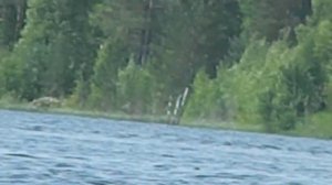 Рыбалка на реке Кемь, недалеко от Шомбы часть 2.MOV