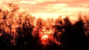 "Эвинек" летний праздник эвенов Якутии