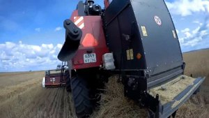 (Сезон 2018) Три VECTOR 410 и два МТЗ1221 с птс 12.  Обмолот 1000 гектар!