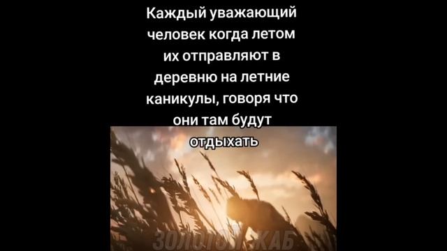 тикток увидел керамбит | подборка мемов смотреть онлайн