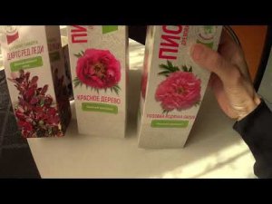 Посадка пиона и барбариса из ФИКС ПРАЙС