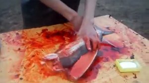 Поездка в Анадырь
