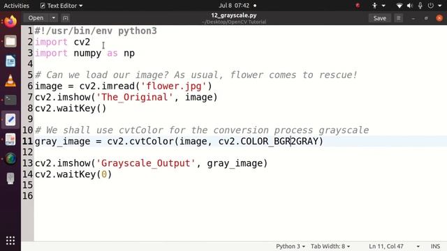 10. How to do Grayscaling? C- Image conversion to Grayscale format with OpenCV. смотреть онлайн
