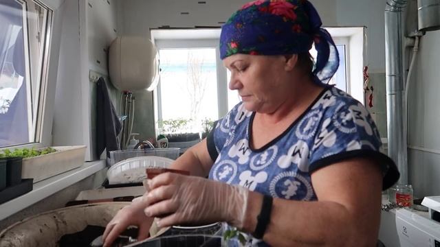 #ВЛОГ Жизнь в деревне. Мама, спой. Сажаем рассаду. Ждем весну. Готовим теплицу. смотреть онлайн