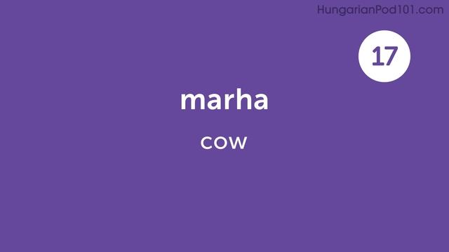 200 Hungarian Words for Everyday Life - Basic Vocabulary #10 смотреть онлайн