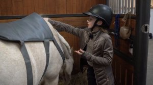 POPCORN AND HARLOW'S RIDING ROUTINE * NEW SHOW JUMPS *