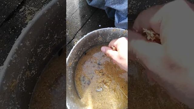 Бизнес дома изготовление топливных брикетов смотреть онлайн