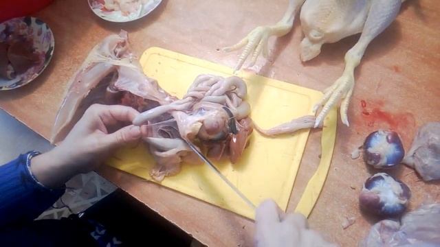 Забили бройлеров. Сколько весят. смотреть онлайн