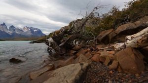 Internal Flight   Estas Tonne 2016 Rus full version