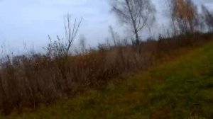 ЗАГОННАЯ ОХОТА. ЛОСЬ, КАБАН, КОСУЛЯ. Повезло