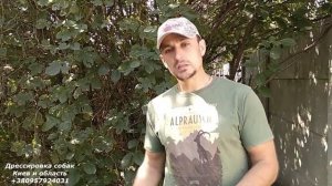 209. Как правильно кормить собаку. Правила кормления собаки