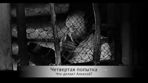 Начальник Чукотки. Как получить нужные сведения? #Видеотекапереговорщика сезон 2021, серия 2.