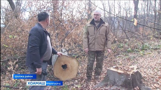 1алама министерствос хьалхадоакх: бокъо йоацаш хьу йоаераш уголовно бехктокхаме оттабергба смотреть онлайн